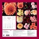 Георгины. Звезды в саду. Календарь настенный на 2026 год (300х300 мм) - фото 7