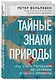 Тайные знаки природы: как стать погодным детективом и читать приметы - фото 3