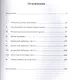 Правда и ложь академической истории. Расследование о подлинном прошлом русского народа - фото 2