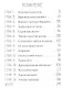 Майя Пес-рыцарь и Кот о`Фей (10+) (м) Лавряшина - фото 2