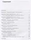 Упражнение для синхрониста. Японский клен. Самоучитель устного перевода с английского языка на русский - фото 2