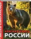 Красная книга России. 3-е издание - фото 3