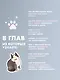 Твой котик: магия ухода. Все о том, как всегда понимать кошку и завести крепкую дружбу на всю жизнь. - фото 6