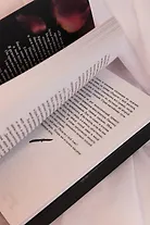 Связанные честью - фото 11