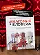 Анатомия человека. Визуальный гид по всем системам организма: норма и патологии - фото 5