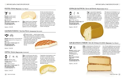 Сырный атлас гурмана. Скажите «CHEESE!» - фото 5