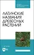 Латинские названия древесных растений. Учебное пособие для СПО - фото 1