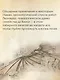 Жизнь Леонардо, мальчишки из Винчи, разностороннего гения, скитальца - фото 9