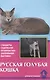 Русская голубая кошка. Стандарты. Содержание. Профилактика заболеваний. Выставки - фото 1