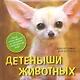 Детеныши животных - фото 1