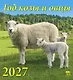 Календарь 2027г 220*240 «Год козы и овцы» настенный, на скрепке - фото 1