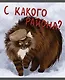 Тетрадь в клетку "Возвращение котанов", 48 листов, в ассортименте - фото 3