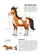 Лошади. О чем говорят животные. Секретная энциклопедия - фото 4