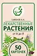 Лекарственные растения от А до Я. 50 карточек - фото 1