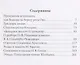 О писателях и поэтах II. Критические статьи - фото 2