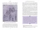 Корейские мифы. От Небесного владыки и принцессы Пари до королей-драконов и духов-хранителей - фото 13
