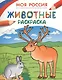 Моя Россия. Животные. Раскраска - фото 1