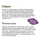 Настоящие ведьмы - фото 6
