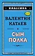 Сын полка (ил. В. Канивца) - фото 1