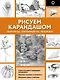 Рисуем карандашом портреты, натюрморты, пейзажи - фото 1