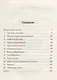 Амелия Сердце в изгнании (Дюпюи) - фото 2