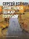 Заметался пожар голубой - фото 1