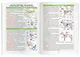 Биология. 7-11 класс. Справочник в таблицах - фото 6
