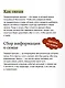 Мой род. Как изучать историю своей семьи - фото 7