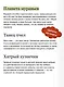 Насекомые и пауки. Детская энциклопедия (Чевостик) - фото 7