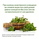 Огород на подоконнике. Идеальный урожай не выходя из дома - фото 9