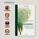 Папирус. Изобретение книг в Древнем мире - фото 5