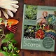 Больше, чем 5 соток. Как на маленьком участке получить максимум урожая - фото 7