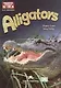 Alligators. Level B1+/B2. Книга для чтения - фото 1