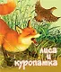 Лиса и Куропатка - фото 1