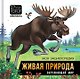 Моя энциклопедия. Живая природа. Окружающий мир - фото 1