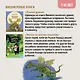 Повелитель драконов. Книга 1 - фото 12