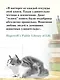 Хроники странствующего кота - фото 10