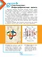 Искусство. Основы инфографики. 5-7 класс. Учебник - фото 4