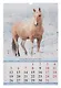 Календарь 2026г 320*480 "Год Лошади. Вид 1" настенный, на спирали - фото 2