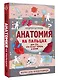 Анатомия на пальцах - фото 3
