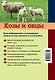 Козы и овцы - фото 2