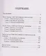 Загадки и тайны Святой Софии. От Костантинополя до Стамбула - фото 3