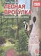 Лесная прогулка. Находилка-определялка с панорамными иллюстрациями. 5+ - фото 1
