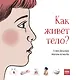 Как живёт тело? - фото 1