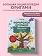 Корейское оригами. 200 моделей для обучения и развлечения - фото 4
