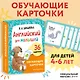 Английский для малышей. Обучающие карточки. 36 карточек - фото 4