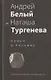 Андрей Белый и Наташа Тургенева: Роман в письмах - фото 1