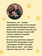 Лапы, крекер, два когтя. Хроники кота Улитощки для тех, кто хочет держать хвост по ветру - фото 8