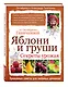 Яблони и груши. Секреты урожая от Октябрины Ганичкиной - фото 3