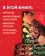 Ведьма. Новогодняя дилогия - фото 5